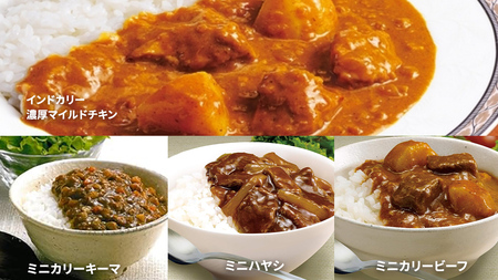 新宿 中村屋 レトルト カリー 食べ比べ セット 10種 13個入 | 茨城県