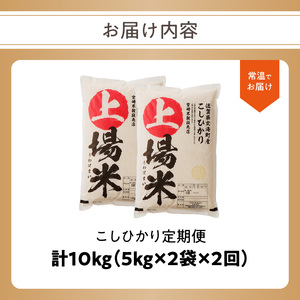 【予約受付】＜令和8年度産 新米＞超新米定期便（5kg×2袋×2回）【Z053】