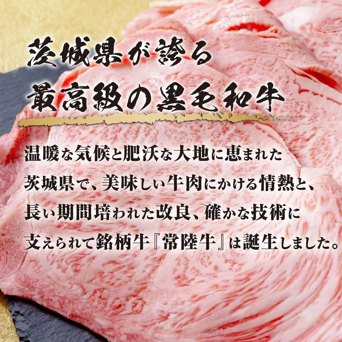常陸牛(ひたちぎゅう)ロースA5ランク500g_肉 すき焼き 牛肉 すきやき スキヤキ  肉 しゃぶしゃぶ 牛肉 牛しゃぶ  肉 焼肉 牛肉 やきにく ヤキニク バーベキュー  肉 常陸牛 牛肉 うし ビーフ_【配送不可地域：離島】【1413422】