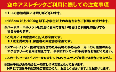 「若狭たかはまエルどらんど」空中アスレチック体験チケット(高校生以上)2枚