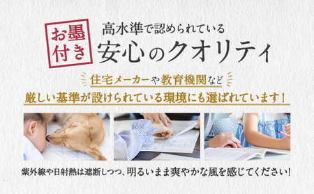 ニッテキ 日よけ クールブラインド アクティブ ブラインド 日本製 1枚:185×200cm