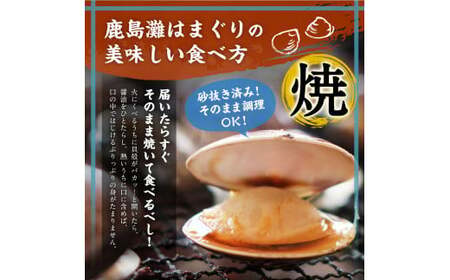 はまぐり 鹿島灘はまぐり 8~12粒程度 【 はまぐり 】