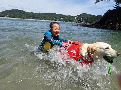 愛犬と一緒にシーカヤック 湊カフェ＆Pirates 施設利用券〈6,000円分〉　【 カヤック 犬 】