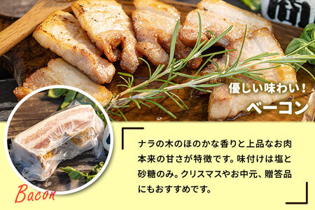 ポークチョリソー×10本＆ベーコン400g＆高梨商店のチキンカレー×2＆ハーブソルト50gの大満足セット