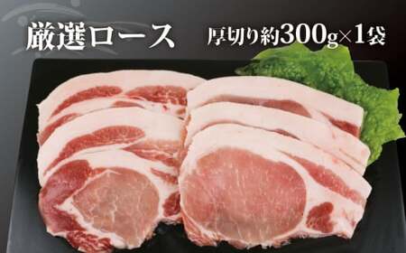 無薬 豚肉 お試し セット B 計600g バラ 上 厚切り 300g 厚切り ロース 300g あい健康豚 バラ E012-154002