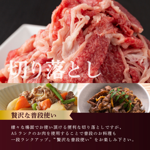 牛肉 A5 ランク 米沢牛 B セット 切り落とし 700g 焼肉 500g 計1.2kg [佐貝肉店 山形県 高畠町 tk06ayt260007]