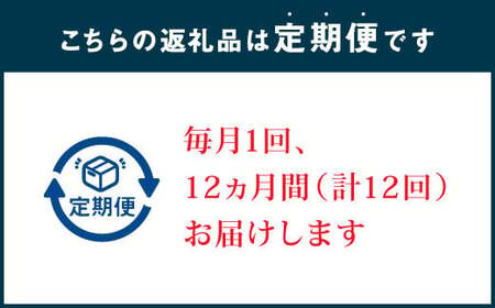 E1 【12ヶ月定期便】毎月届くみやまの逸品 特産品 野菜 果物 フルーツ 米 酒 味噌 茶 旬