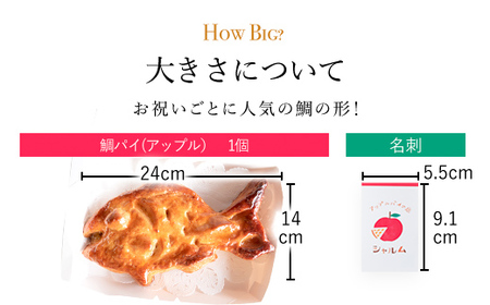 鯛パイ アップル (24×14cm・1個) ふるさと納税 福知山市 人気 スイーツ アップルパイ りんご 菓子 誕生日 お祝い ギフト お食い初め お取り寄せ お中元 お歳暮 母の日 贈り物 【fc-CF007】【アップルパイの店 シャルム】