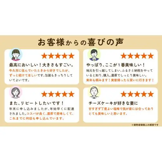 濃厚 ！ ベイクドチーズケーキ （ 冷凍 ）