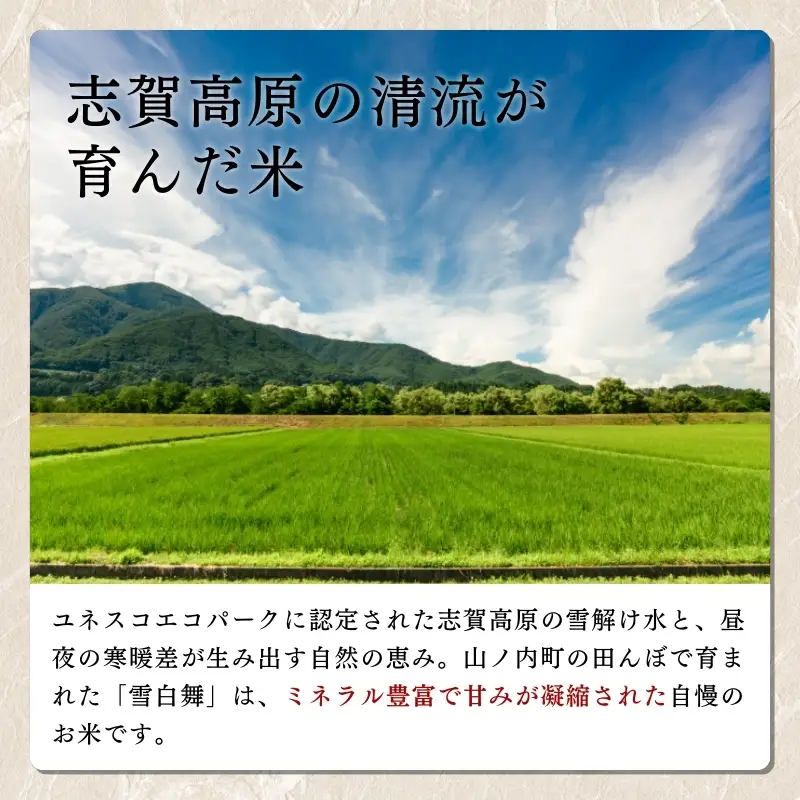 【令和7年産】志賀高原の麓で育った 山ノ内町産コシヒカリ『雪白舞』5kg 6か月連続お届け！米 お米 コシヒカリ 5kg 5キロ ブランド米 定期 6か月 