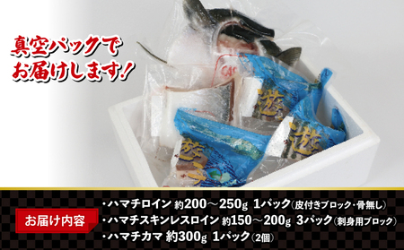 ハマチ 計 1kg 愛媛県漁業協同組合遊子支所ﾊﾏﾁD012-022005
