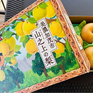 【先行受付】「丸坂山田農園」山之上 梨 1箱 ( 長寿 2.5kg 程度) | M09S66