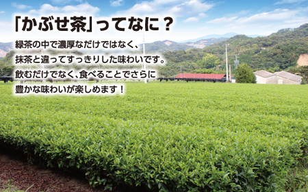 素材にこだわったジェラート（かぶせ茶10個・バニラ10個）詰め合わせ、かぶせ茶パウダー付・N057-27