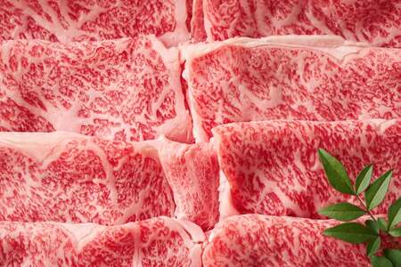 【厳選部位】博多和牛 サーロイン しゃぶしゃぶ すき焼き 用 スライス 500g 化粧箱 [MEAT PLUS 福岡県 筑紫野市 21761007]