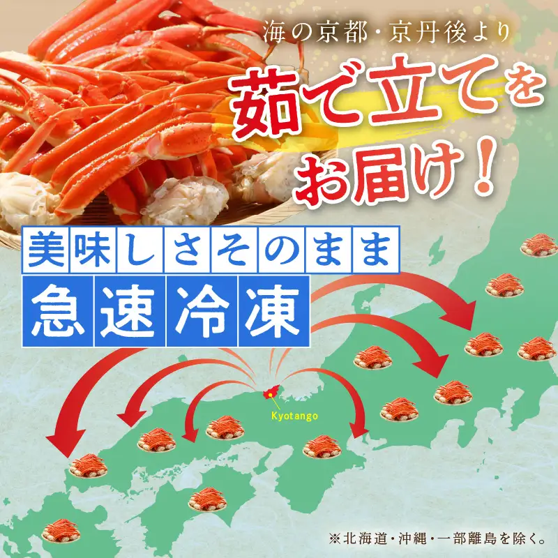 【訳あり！カニ酢付き】急速冷凍 ボイル済み 本ズワイガニ 2Lサイズ10肩 カニ