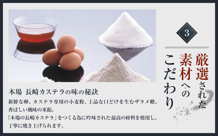 【3ヶ月定期便】 長崎カステラ 0.5号 (290g) 2本入り 異人堂