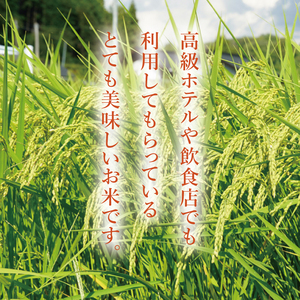 令和7年産 立神米「姫ごのみ」（白米）5kg｜茨城県 大子町 コシヒカリ 米 コンテスト 受賞 生産者 大子産米 産地直送（BT045-1）
