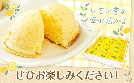 レモンケーキ 15個入り【養生市場】合計約750g 有限会社七城町特産品センター《90日以内に出荷予定(土日祝除く)》熊本県 菊池市 レモン ケーキ 檸檬ケーキ レモンチョコ おかし お菓子 デザート スイーツ おやつ