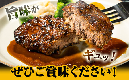 馬肉ハンバーグ 16個セット 千興ファーム 