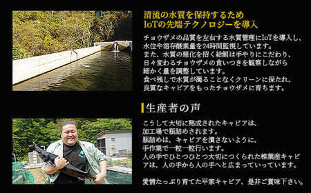 【日本三大秘境×世界三大珍味】平家キャビアが焼売に！！キャビア焼売 8個入り×4パック 合計32個 チョウザメ キャビア 魚卵 シュウマイ 焼売  SZ-133