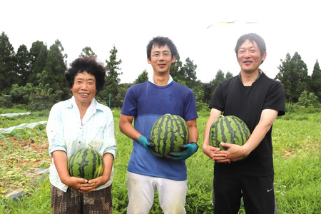 【期間限定】 上棚 すいか 2玉 [米吉農園 石川県 志賀町 BA4119]