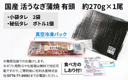 国産 活うなぎ蒲焼 有頭 約270g 1尾 1～2人前《ご寄付後、発送直前にひとつひとつ手焼き！》[B-044001]