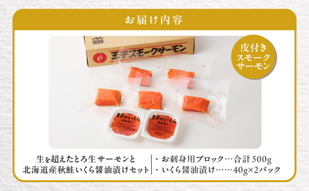 【王子サーモン】生を超えた「とろ生サーモン」と北海道産秋鮭 いくら醤油漬セット 計580g　T041-001 魚 魚介類 加工食品