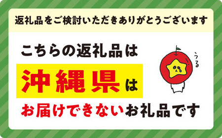 旬のりんご 【 定期便 】 訳あり ～ 家庭用 5kg × 3回 マルハ農園 沖縄県への配送不可 2026年9月上旬から2026年12月中旬まで順次発送予定 令和8年度収穫分 エコファーマー認定 信州 果物 フルーツ リンゴ 林檎 長野 予約 農家直送 長野県 飯綱町 [1640]
