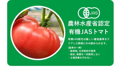 有機JASとっぺんトマト 約4kg 旬 お取り寄せ 詰め合わせ 贈答 ギフト お中元 お歳暮 熊本 阿蘇 産山村 送料無料 トマト 無農薬 有機《7月上旬-8月下旬頃出荷》