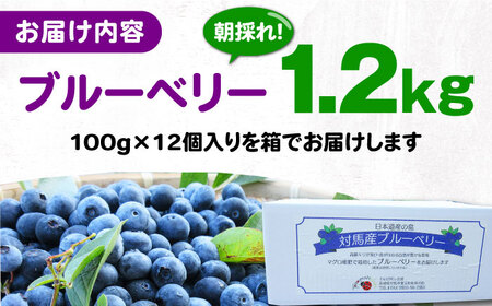 【先行予約】対馬産 朝採れ 大粒 ブルーベリー ( 青果 ) 1.2kg フルーツ 果物 生食 新鮮 朝食 冷蔵  [WBG005]