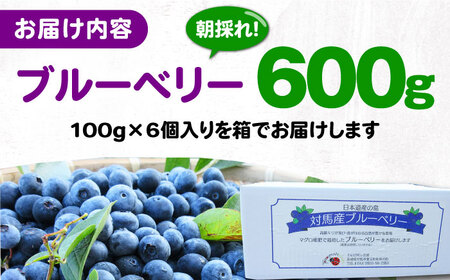 【先行予約】対馬産 朝採れ 大粒 ブルーベリー ( 青果 ) 600g フルーツ 果物 生食 新鮮 朝食 冷蔵  [WBG006]