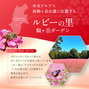 高嶺ルビー はちみつ 120g　3本セット [ はちみつ 蜂蜜 ]