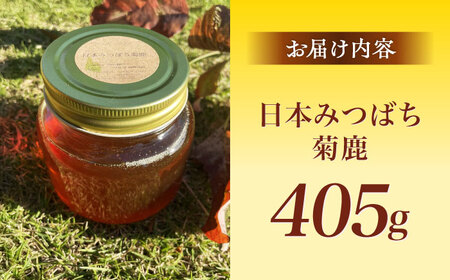 日本みつばち菊鹿約405g【山麓はっち】[ZBM010]