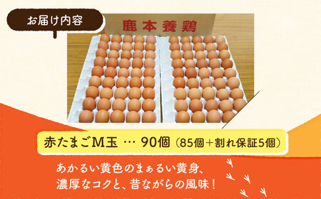 赤たまごM玉卵90個(85個＋5個割れ保証)卵ZCA002