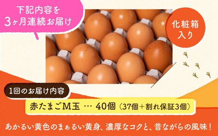 【全3回定期便】 【化粧箱入り】赤たまご M玉 40個 (37個＋割れ保証3個)【株式会社 かもと養鶏】 タマゴ 玉子 熊本県 卵 国産 新鮮 濃厚 化粧箱  [ZCA003]