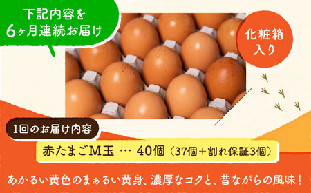 【全6回定期便】 【化粧箱入り】赤たまご M玉 40個 (37個＋割れ保証3個)【株式会社 かもと養鶏】タマゴ 玉子 熊本県 卵 国産 新鮮 濃厚 化粧箱    [ZCA004]