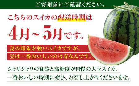 熊本スイカ先行予約 大玉すいかLサイズ西瓜スイカZCM001