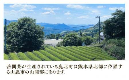 ティーバッグ 5種飲み比べセット 【岳間の郷ひがし】[ZCH002]
