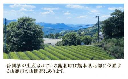 高級茶『山鹿市岳間茶』3種ギフトセット 【岳間の郷ひがし】[ZCH007]