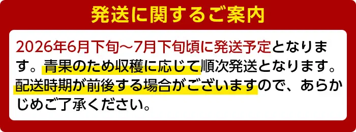 ＜先行予約受付中・2026年6月下旬～7月下旬頃に発送予定＞＜訳あり・数量限定＞ 完熟アップルマンゴー「紅」(約900g・850～950g) マンゴー 果物 フルーツ【大徳産業】A392-v02