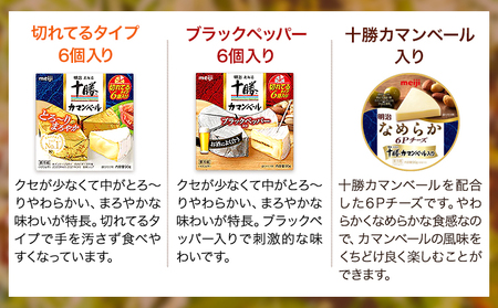 明治北海道十勝チーズセットN(7種) 計14個 本別町観光協会 《60日以内に出荷予定(土日祝除く)》 北海道 本別町 詰め合わせ 食べ比べ カマンベール チーズ おつまみ 十勝 明治 乳製品 送料無料