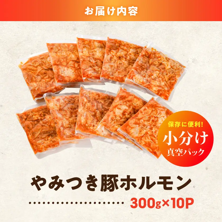 やみつき豚ホルモン!3kg!真空小分けパック!_LG8-3303_(都城市) 国産 味付き 300g×10P 豚肉