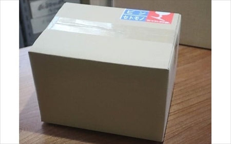 耐熱ガラス製 シンプルな徳利 2個セット[ZB560]