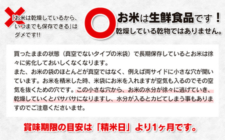 【令和7年産】 はえぬき10kg (5kg×2) 山形県庄内産　鶴岡米穀商業協同組合