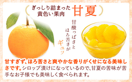 【3ヶ月定期便】デコポン・甘夏缶詰セット計10缶入り《お申込み月の翌月より出荷開始》