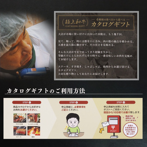 【選べるお肉】黒毛和牛「山形牛」カタログギフト券 45,000円分（寄付金額15万円）《 牛肉 すき焼き すきやき しゃぶしゃぶ ステーキ 焼肉 焼き肉 肩 ロース モモ サーロイン ヒレ カルビ 食べ比べ 東北 山形県 寒河江市 》　150-J-YL032