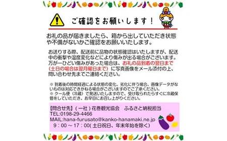 【定期便4回】ひばり農園 の 無農薬  ワクワク  野菜セット 【1241】
