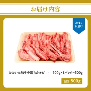 厳選A4～A5等級 おおいた和牛 中落ちカルビ 500g A01133