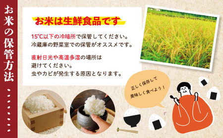 米 10kg 【 令和7年産 】コシヒカリ 香り米 ヒエリ 入り 四万十のかおり 5kg ×2袋 国産 こしひかり ブレンド 精米 白米 ごはん おいしい 高知県 四万十市 四万十 しまんと R8-153