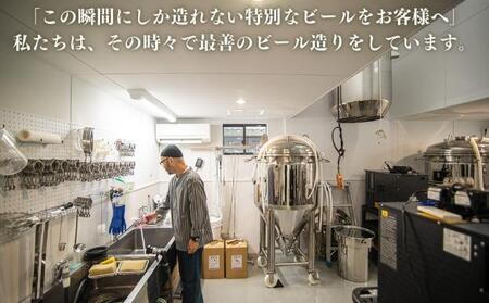 瀬戸内 季節のクラフトビール12本セット ビール